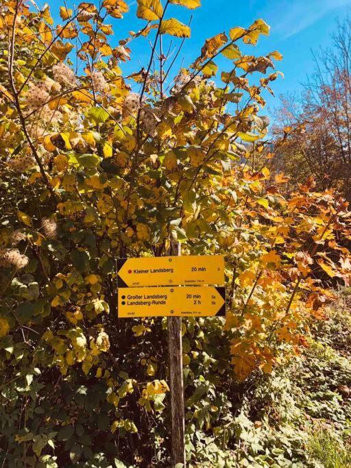 Ferienhof Am Landsberg Obergrunburg Ngoại thất bức ảnh