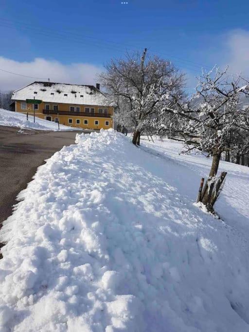 Ferienhof Am Landsberg Obergrunburg Ngoại thất bức ảnh
